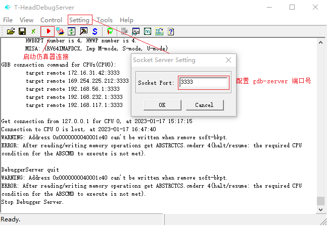 ../../_images/debug_server.png